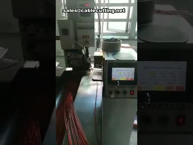 Fully Automatic Wire Cut Strip Crimp Machine for Two-End Processing