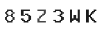 Verification Code Image
